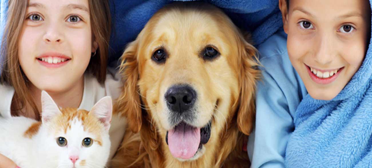 Animal Accessories Melbourne, Victoria, Australia, South Yarra, Fitzroy, Brunswick, Carlton, Essendon