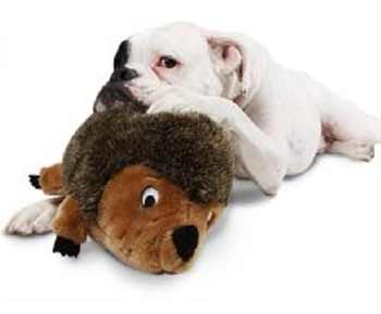 Pet Products Online Sydney NSW Australia - Bedding, Beds, Food Bowls