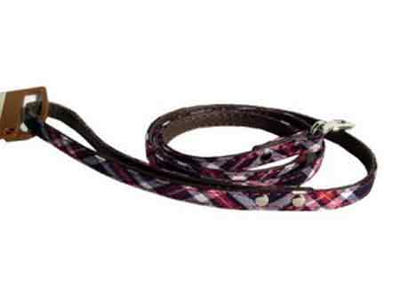 Dog or Cat Leads – Lead Perth WA, Sydney NSW, Melbourne VIC, Brisbane